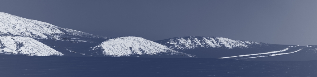 C43A6993-1С.jpg