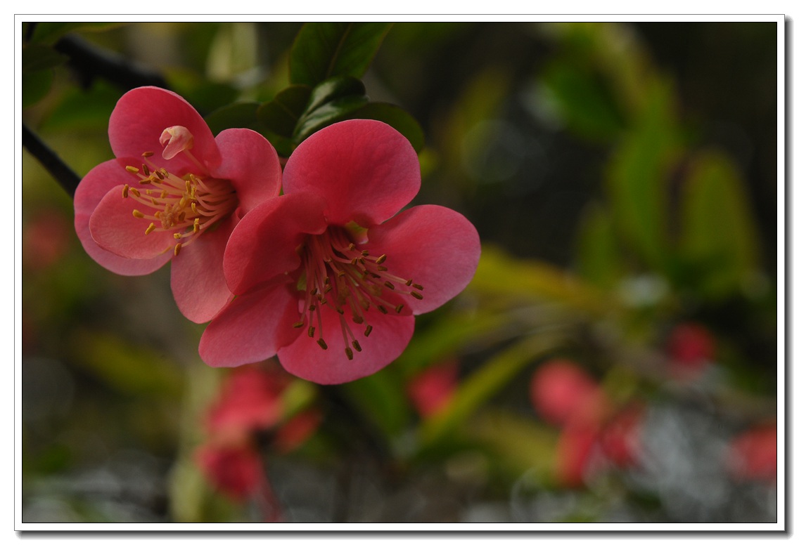 DSC_7422.jpg