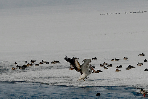 DSC_0030.JPG