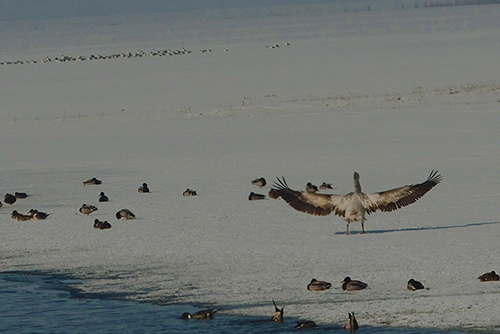 DSC_0077.JPG