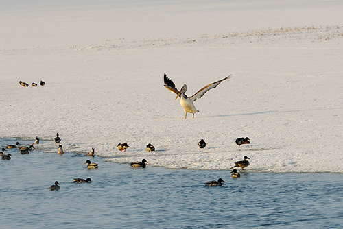 DSC_0198.JPG