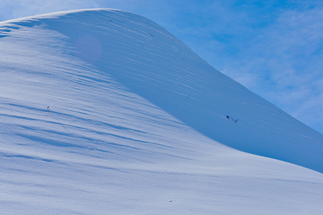 DSC_0038.JPG