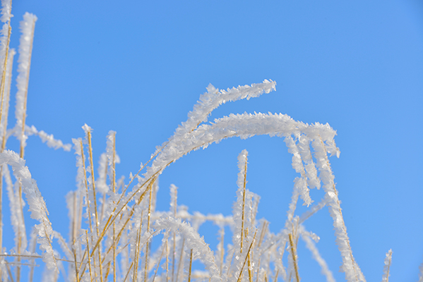 DSC_0091.JPG