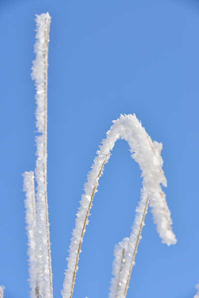 DSC_0095.JPG