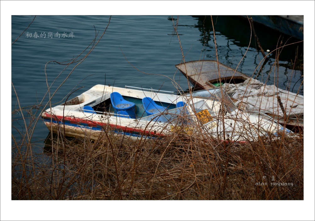 conew_dsc_2995_conew1[2].jpg