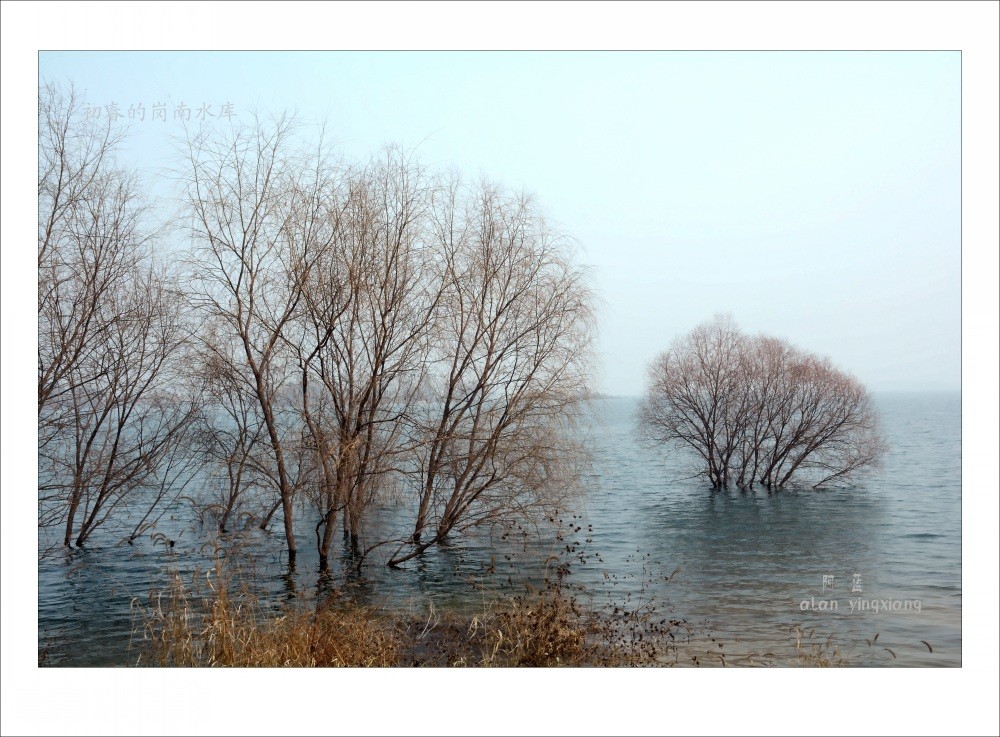 conew_dsc_2881_conew1[2].jpg