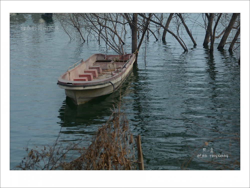 conew_dsc_2863_conew2[2].jpg