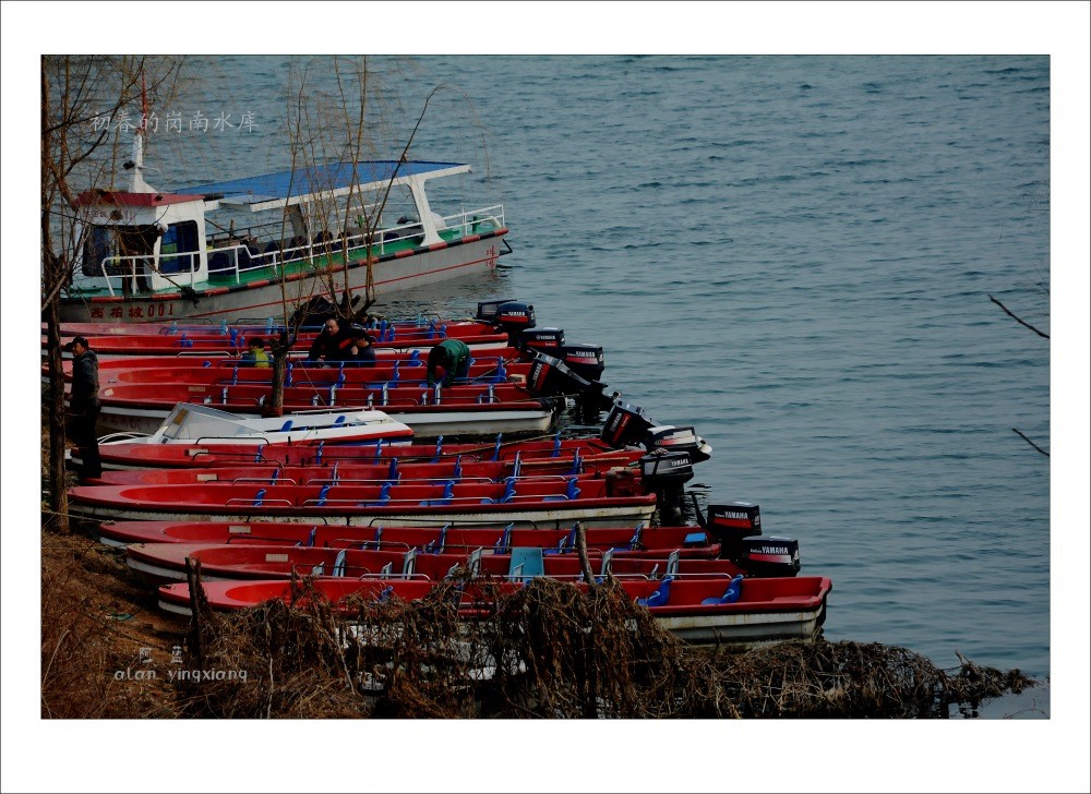 conew_dsc_2997_conew1[2].jpg