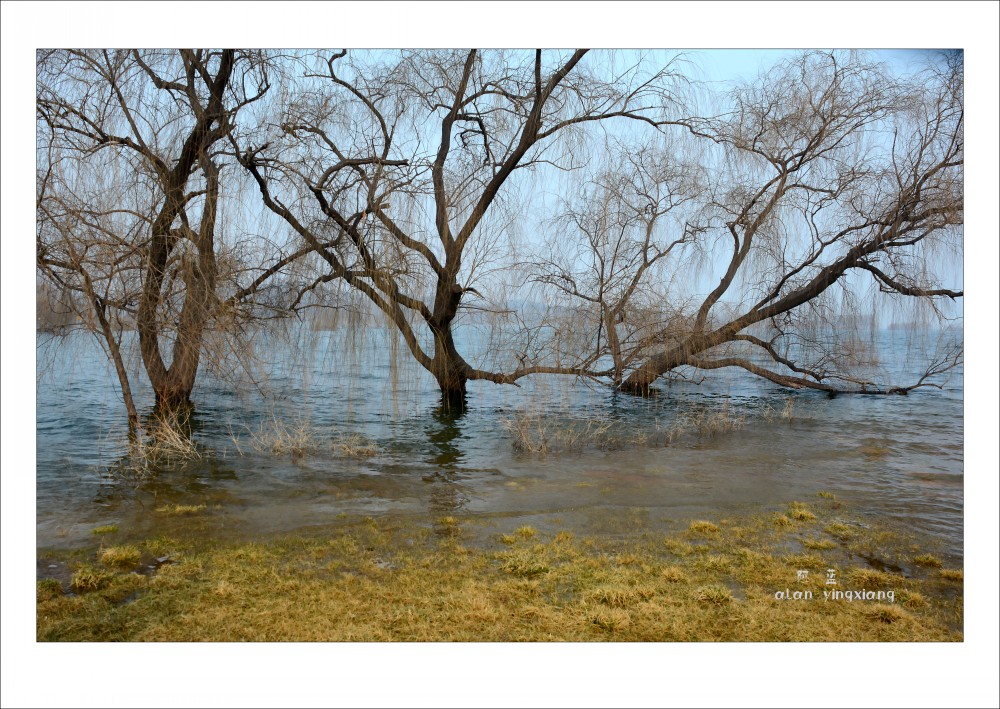 DSC_2926_conew1.jpg