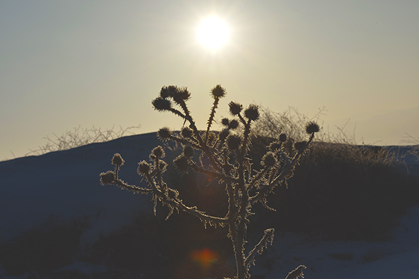 DSC_0080.JPG