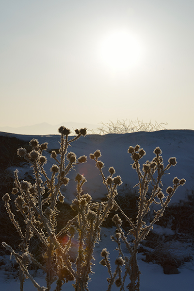 DSC_0081.JPG