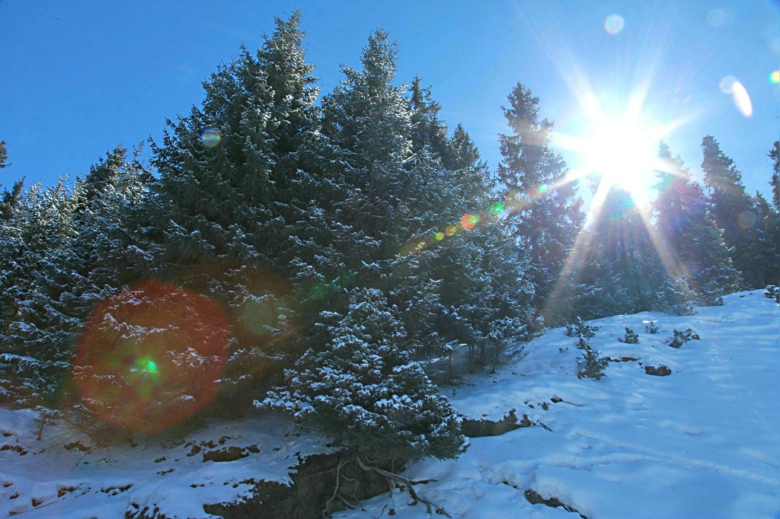 IMG_9027.jpg