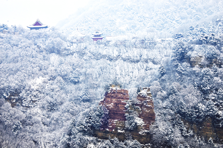 _DSC798-7.jpg