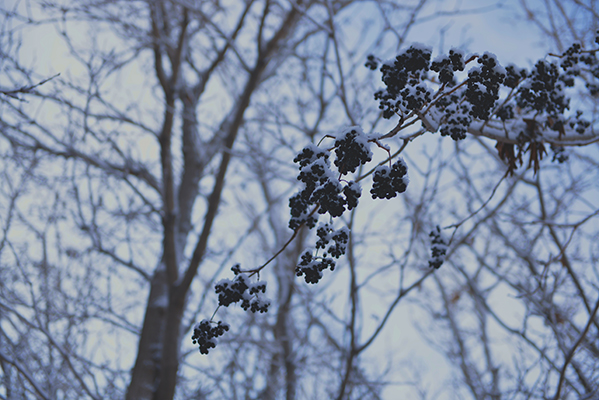 DSC_0263.JPG