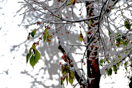 DSC_0292.JPG