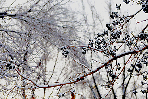 DSC_0285.JPG