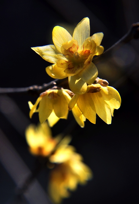 DSC_0169.jpg