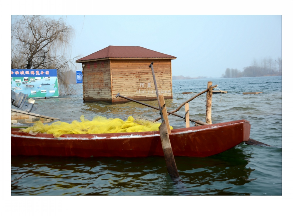 DSC_2970_conew1.jpg