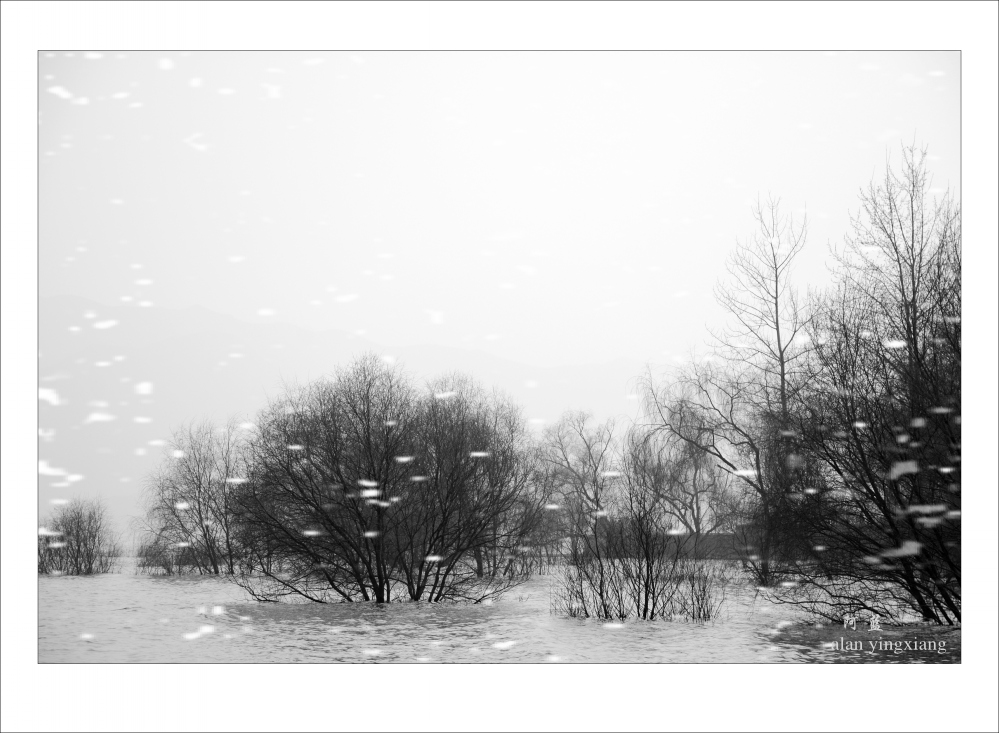 DSC_2972_conew1.jpg