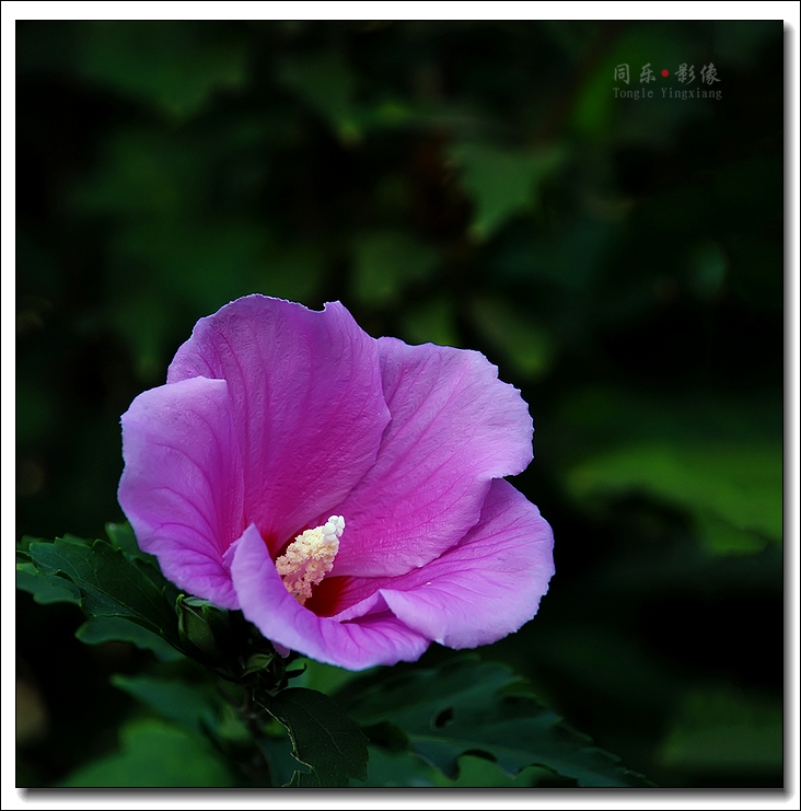 DSC_8288.jpg