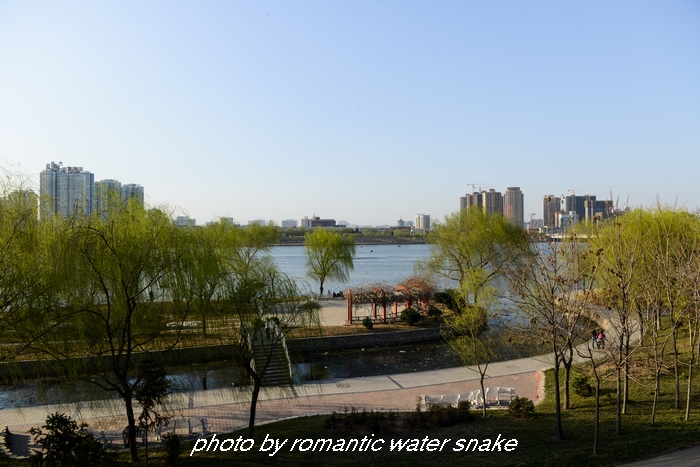 DSC_8647.jpg