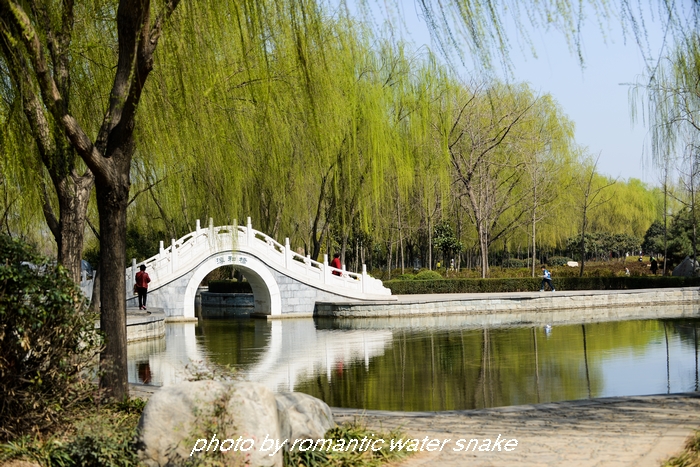 DSC_8852.jpg