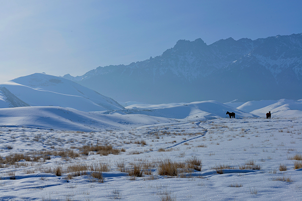 DSC_0103.JPG