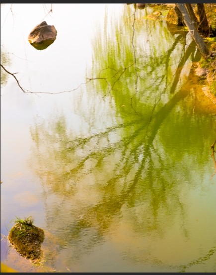 QQͼƬ20140316163148.jpg