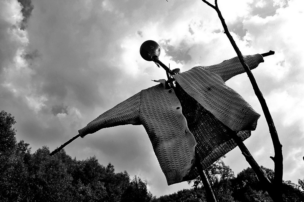 DSC_0221.JPG