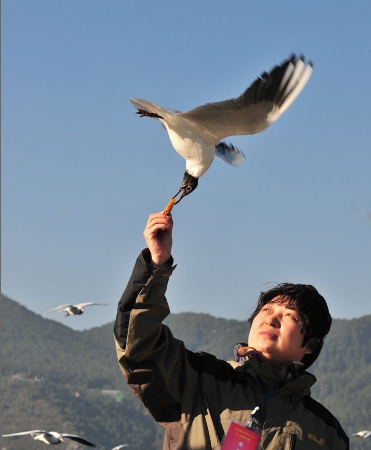 QQͼƬ20130322154721.jpg