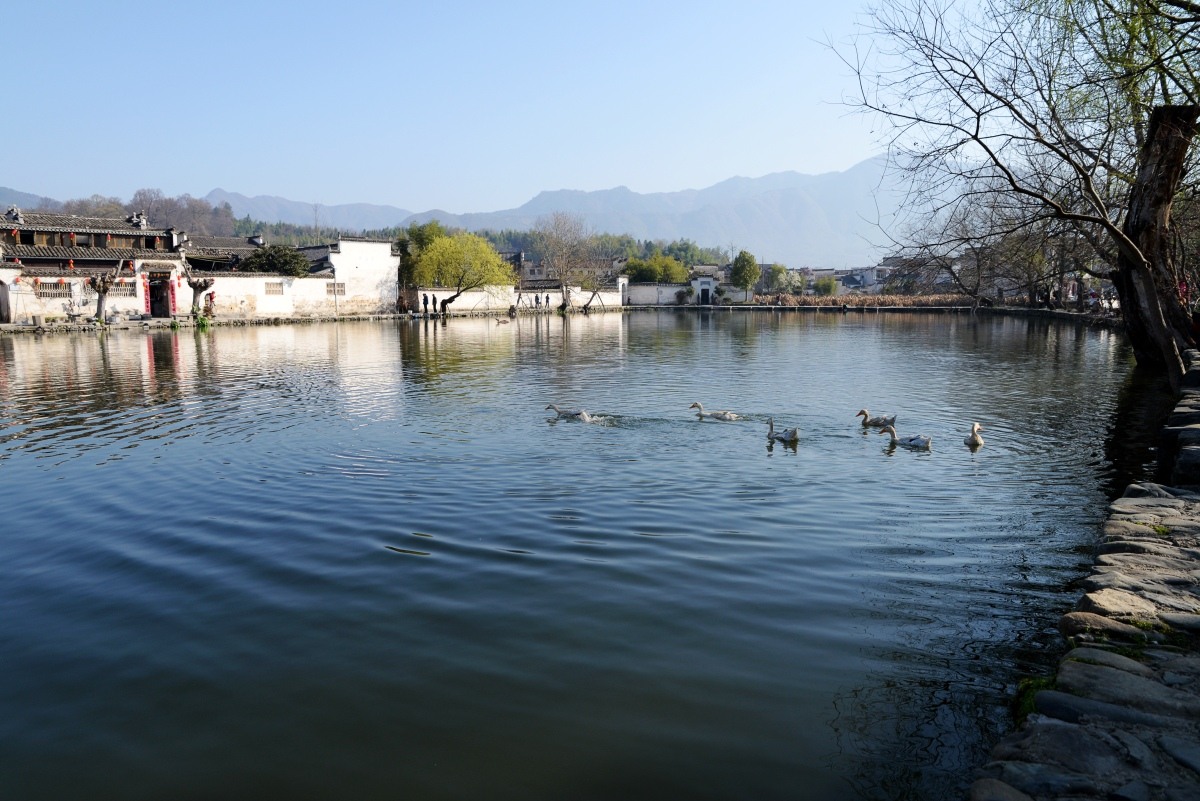 DSC_0217_conew3.jpg
