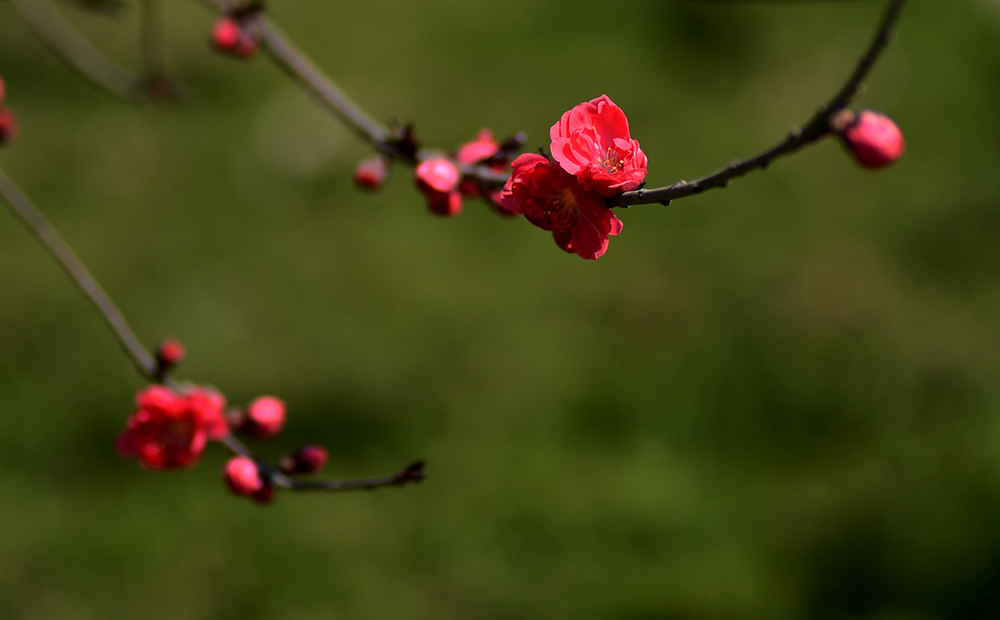 DSC_0840.JPG