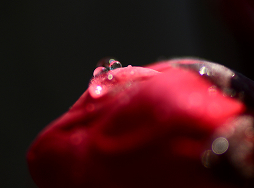 DSC_0851.JPG