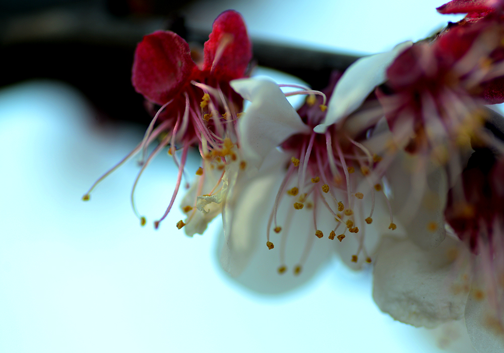 DSC_0874.JPG