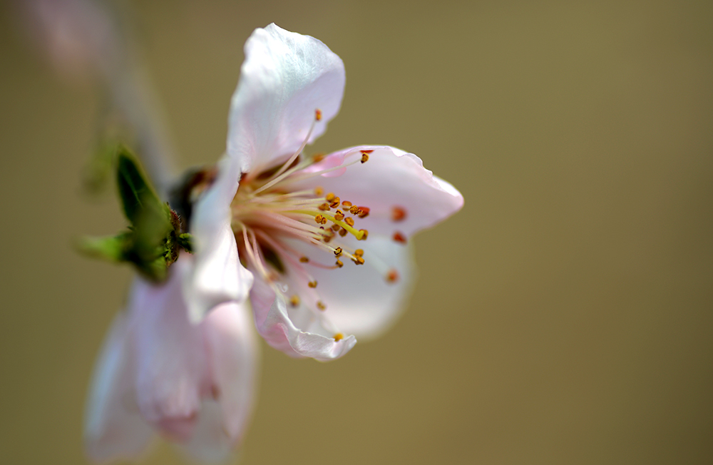 DSC_0875.JPG