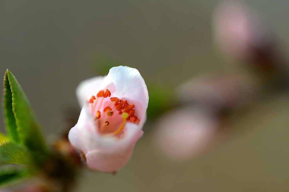 DSC_0876.JPG