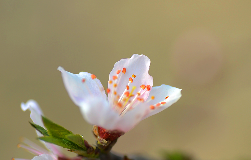 DSC_0877.JPG