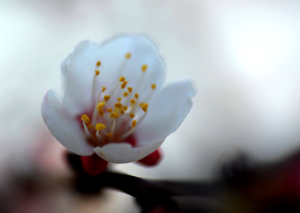 DSC_0884.JPG