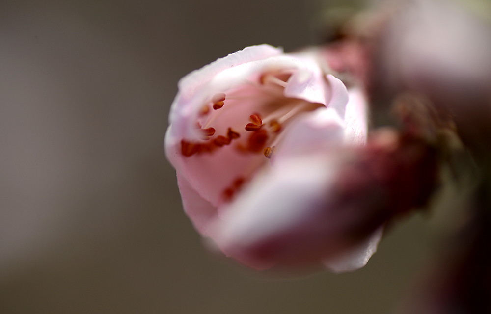 DSC_0890.JPG