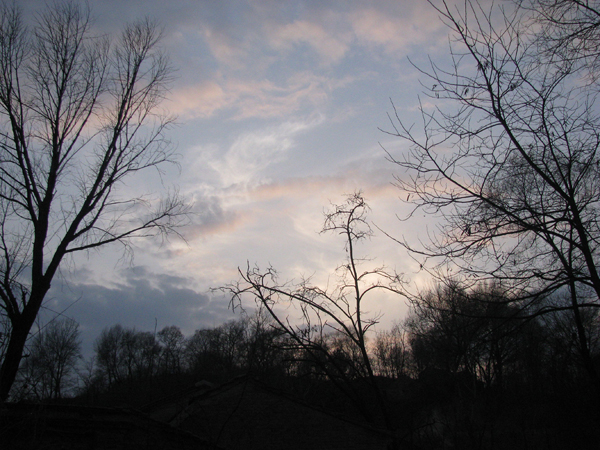 IMG_1455.jpg