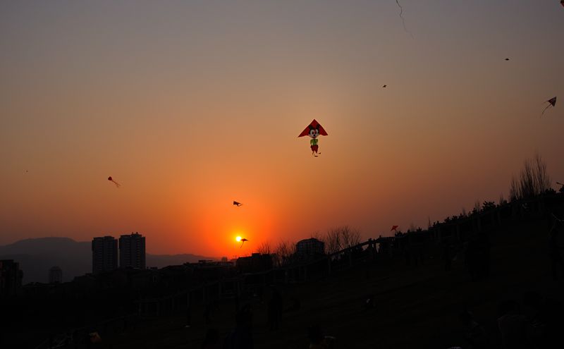 DSC_0114_.jpg