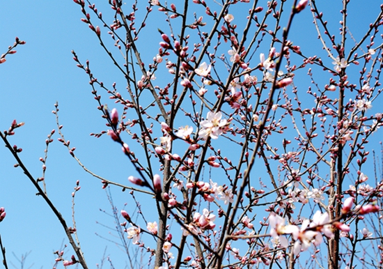 DSC02144___.jpg