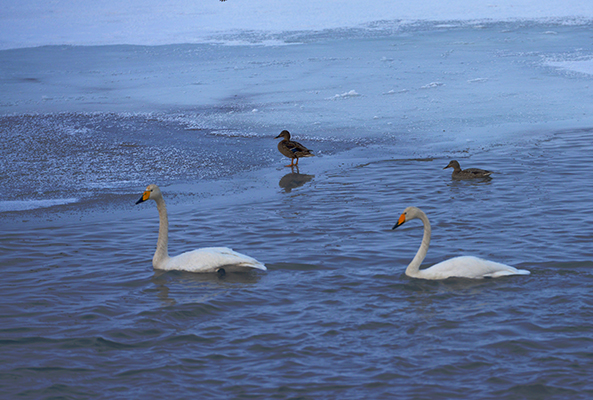DSC_0126.JPG