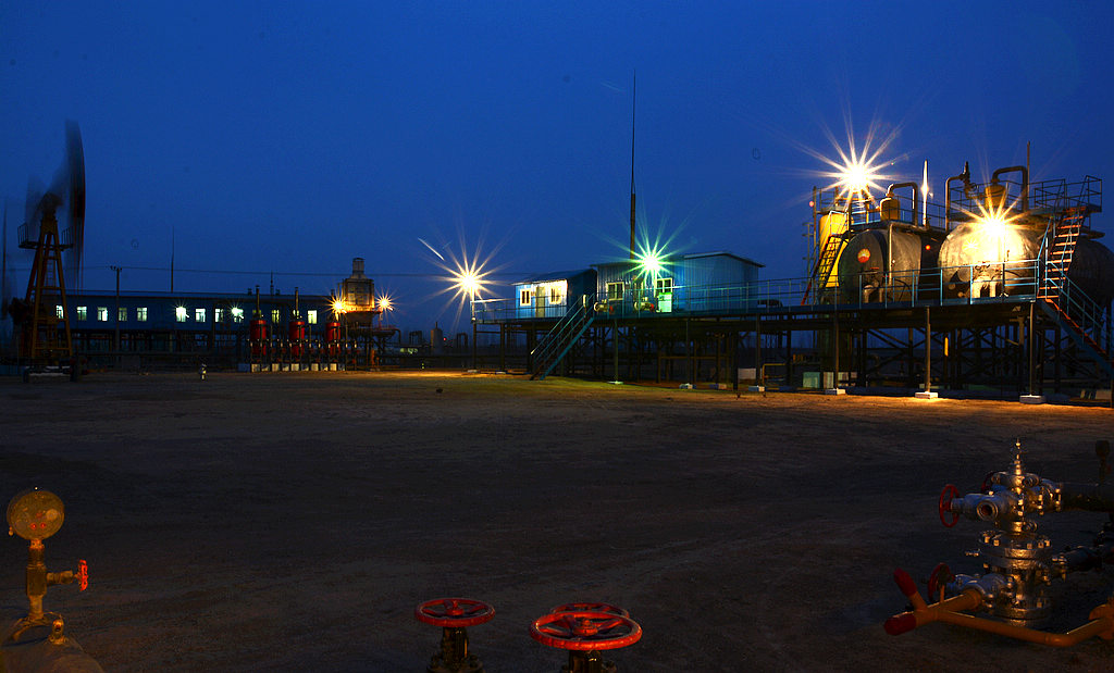 DSC_0314.jpg