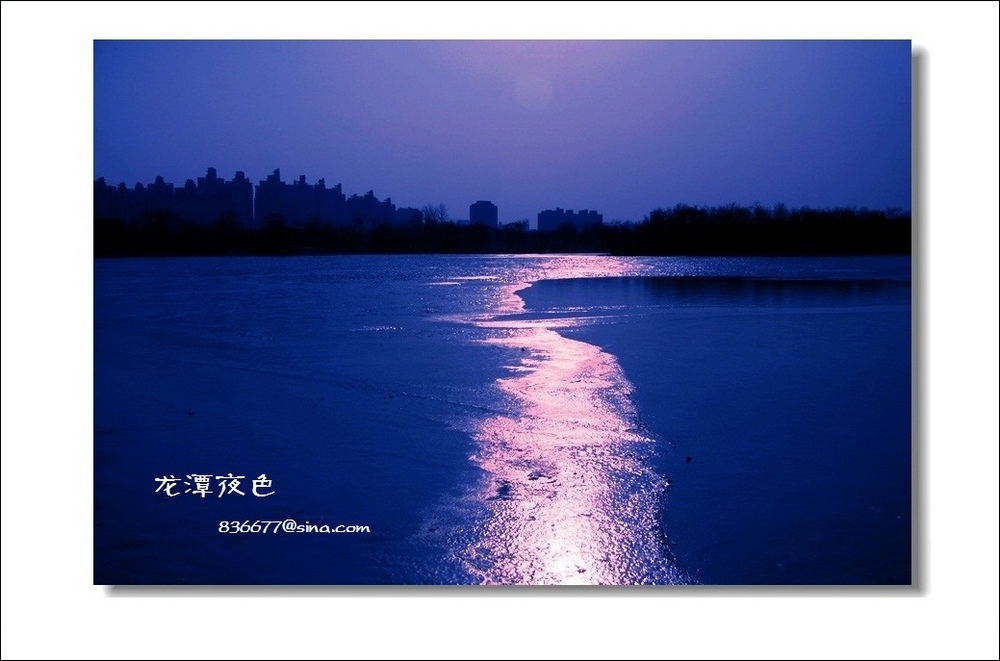 IMG_11824n.jpg