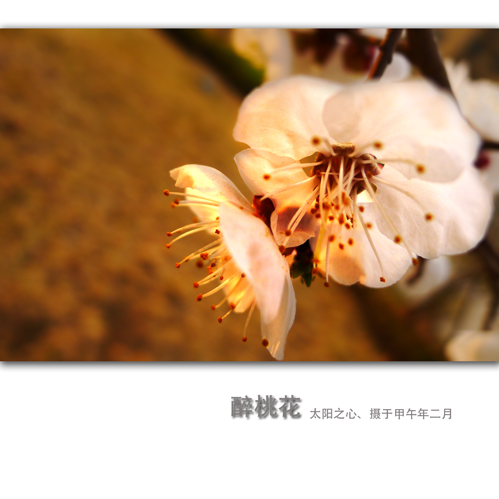 һ1.jpg
