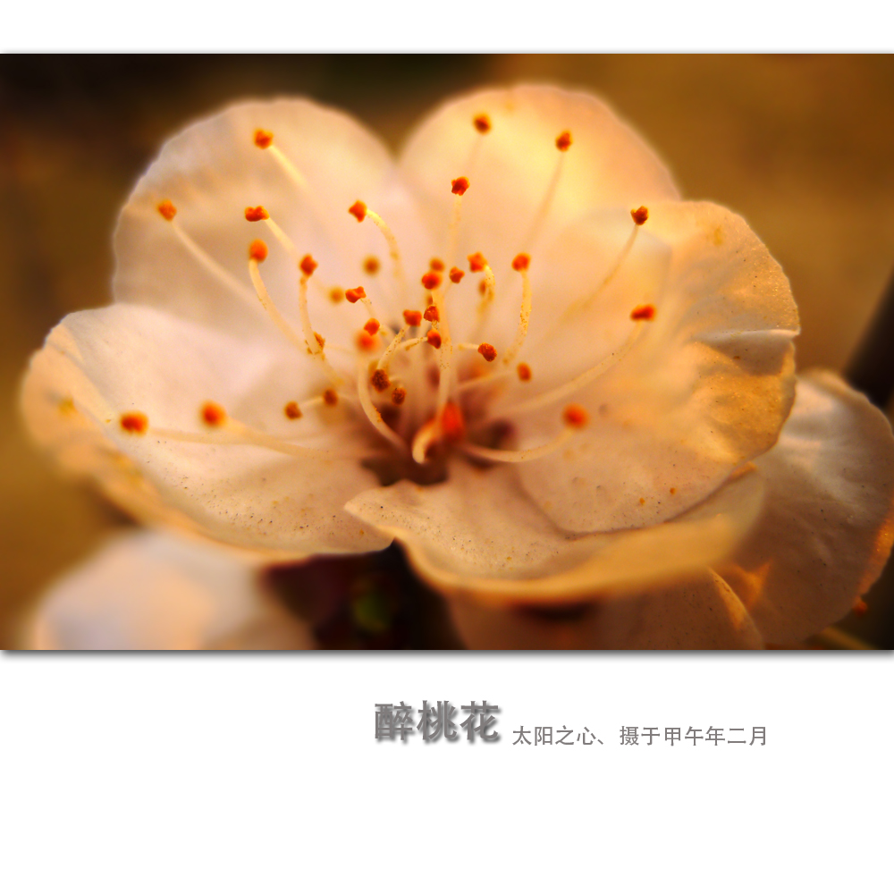 һ2.jpg