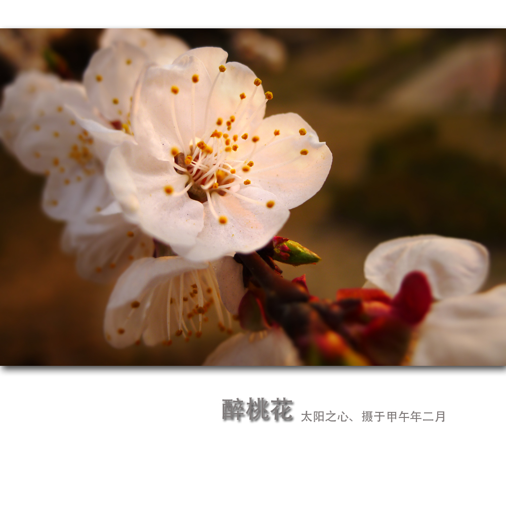 һ3.jpg
