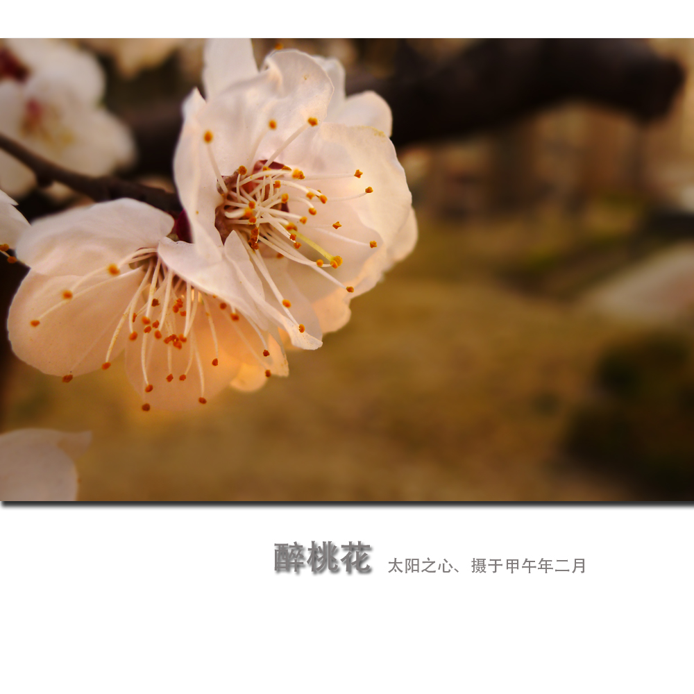 һ4.jpg