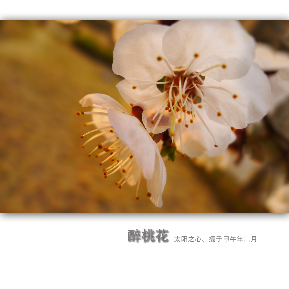 һ5.jpg